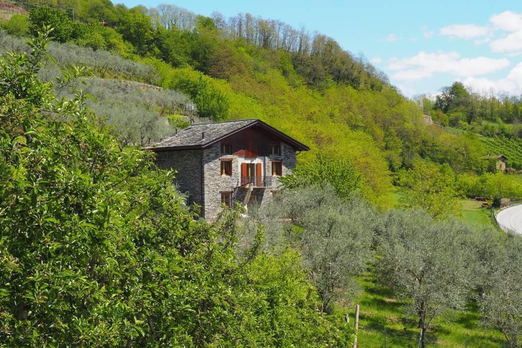 Fantastica Villa Fra Le Alpi Valtellinesi Tresivio Exteriér fotografie