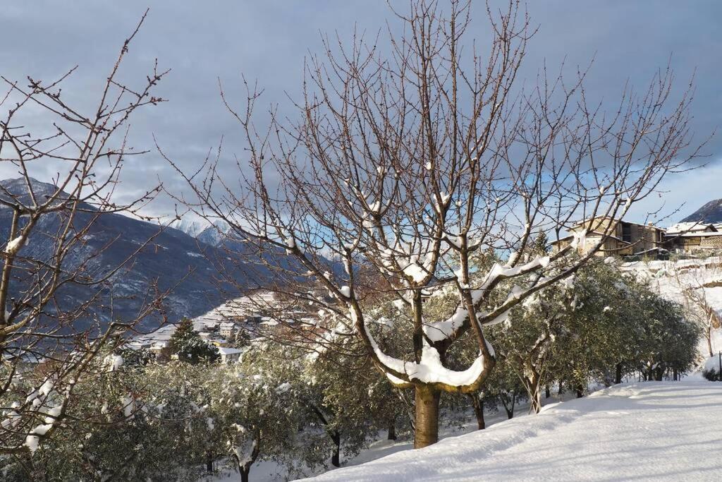 Fantastica Villa Fra Le Alpi Valtellinesi Tresivio Exteriér fotografie